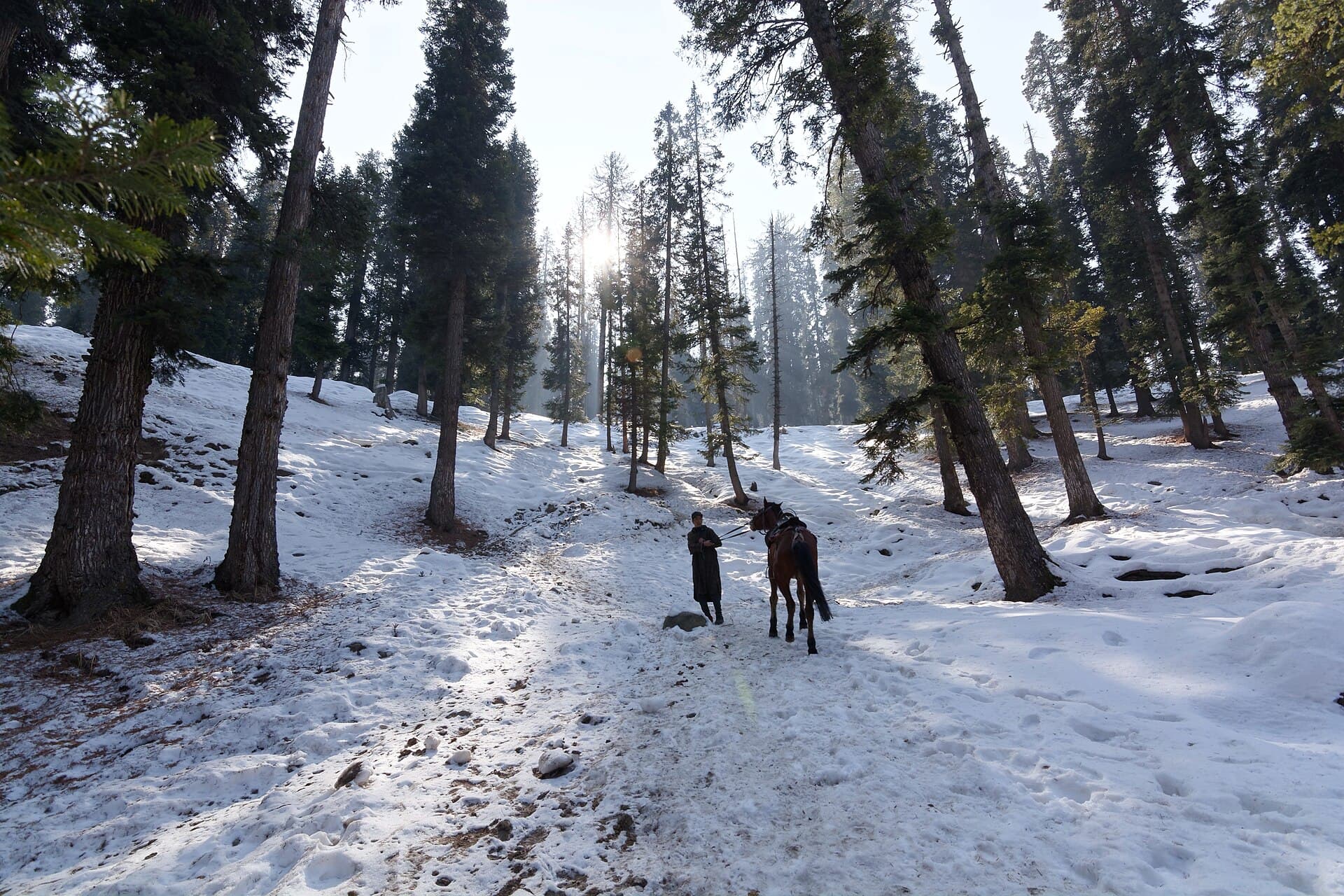 Trek through Kashmir Valley, Pahalgam 3
