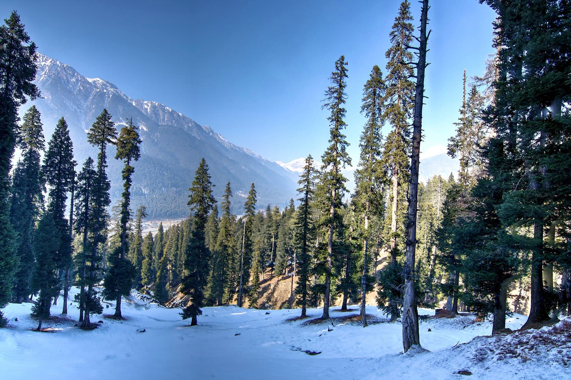 Trek through Kashmir Valley, Pahalgam 2