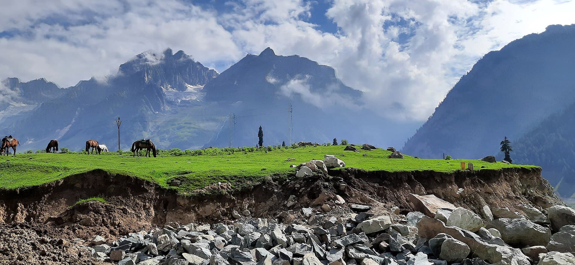Pahalgam meadow