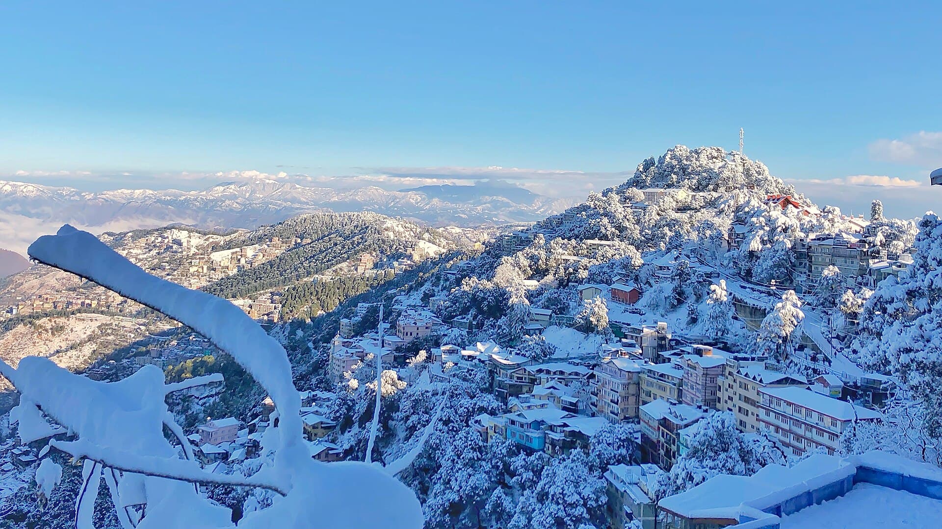 Longwood (Shimla)