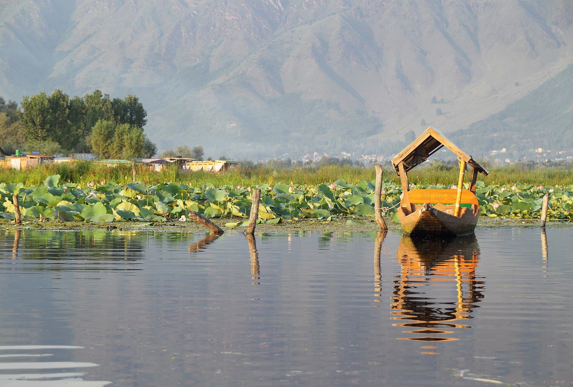 Empty shikara on Dal Lake, Srinagar, India 2013-08-23 (flickr 9967093983)